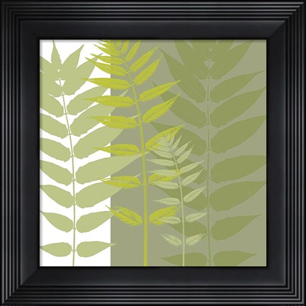 Framed Field Greens Print