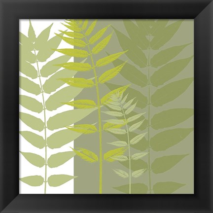Framed Field Greens Print