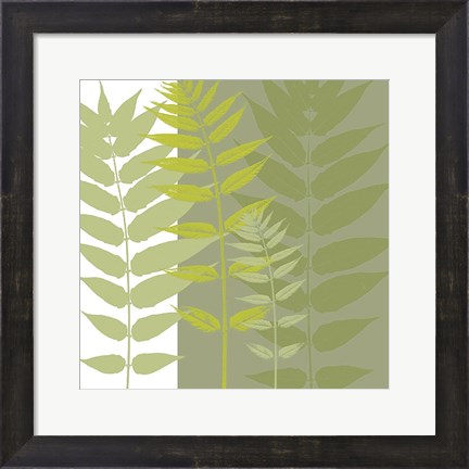 Framed Field Greens Print