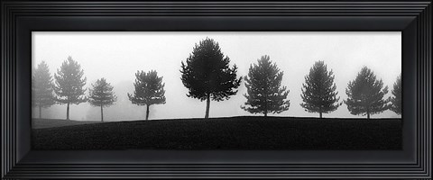 Framed Tree Line Print