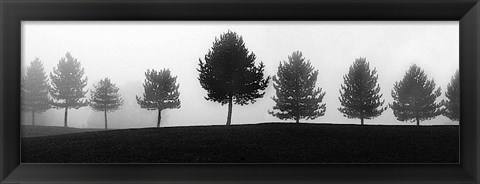 Framed Tree Line Print