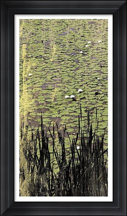 Framed Lily Pond I Print