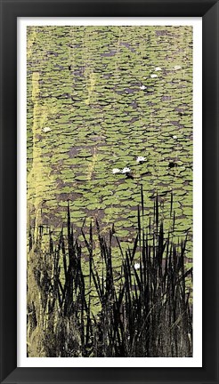 Framed Lily Pond I Print