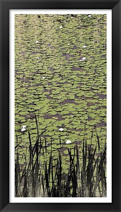 Framed Lily Pond II Print