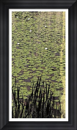 Framed Lily Pond III Print