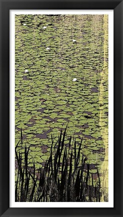 Framed Lily Pond III Print