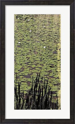 Framed Lily Pond III Print