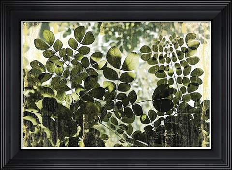 Framed Dappled Radiance Print