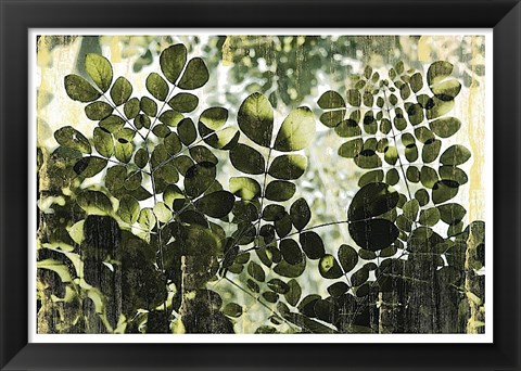 Framed Dappled Radiance Print