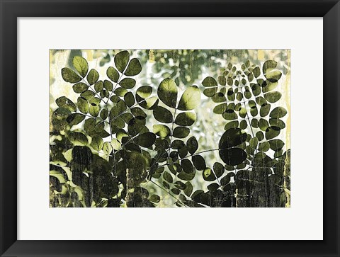 Framed Dappled Radiance Print