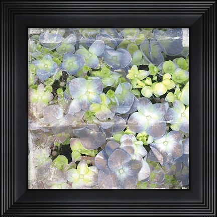 Framed Vintage Blossom Print