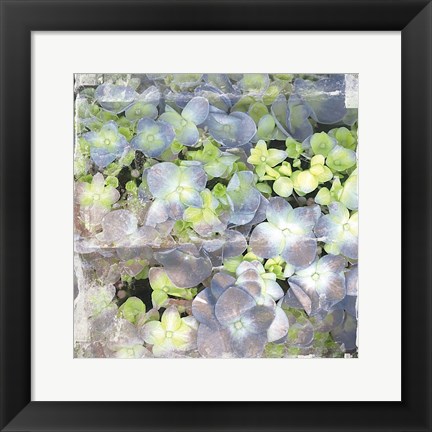 Framed Vintage Blossom Print
