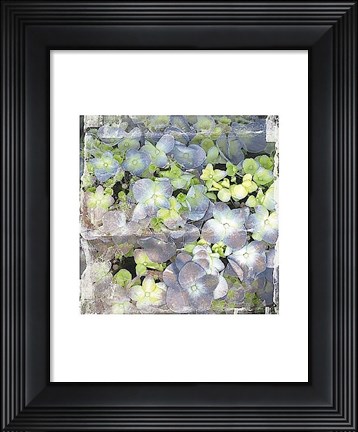 Framed Vintage Blossom Print