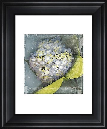Framed Antique Bloom Print