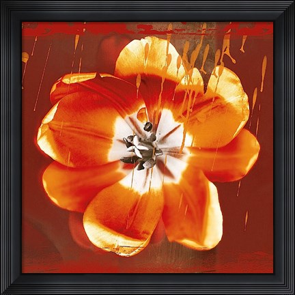 Framed Tulip Fresco (red) Print