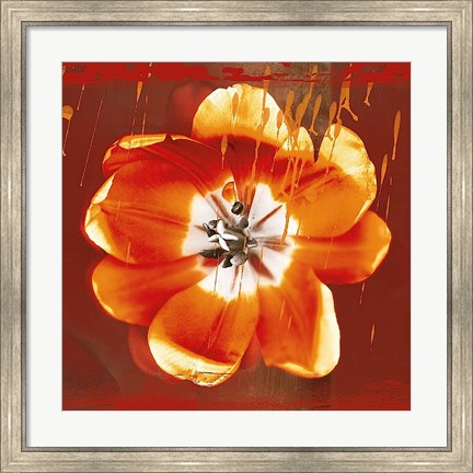 Framed Tulip Fresco (red) Print