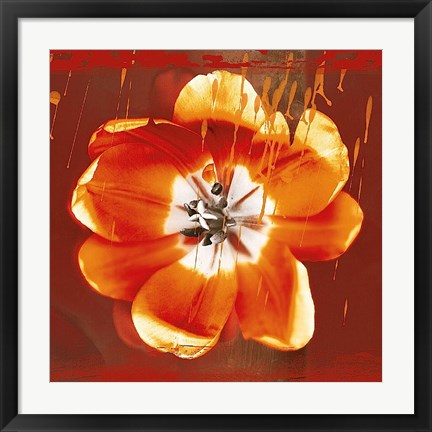 Framed Tulip Fresco (red) Print