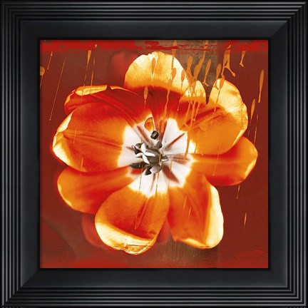Framed Tulip Fresco (red) Print
