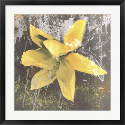 Framed Tulip Fresco (yellow) Print