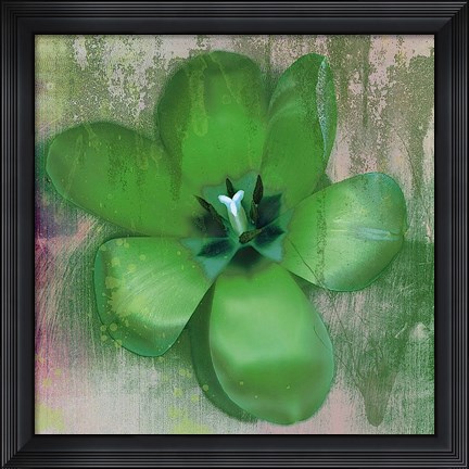Framed Tulip Fresco (green) Print