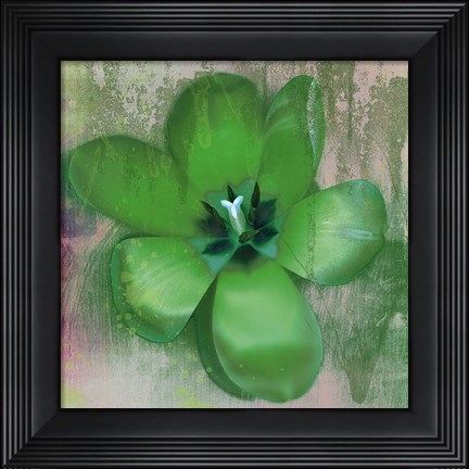 Framed Tulip Fresco (green) Print