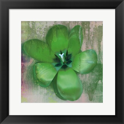 Framed Tulip Fresco (green) Print