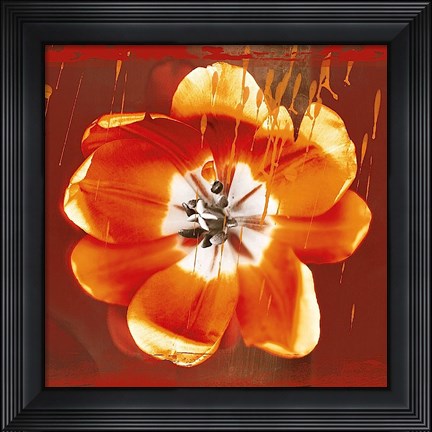 Framed Tulip Fresco (red) Print