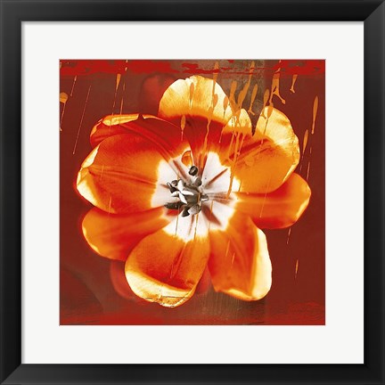 Framed Tulip Fresco (red) Print