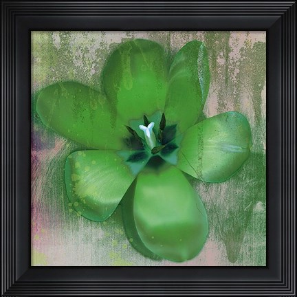 Framed Tulip Fresco (green) Print