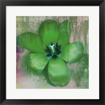 Framed Tulip Fresco (green) Print