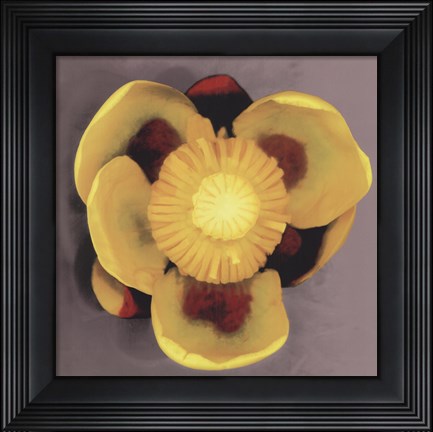 Framed Waterlily Print