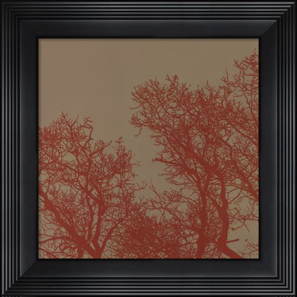 Framed Cinnamon Tree I Print