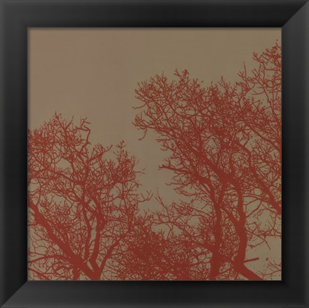 Framed Cinnamon Tree I Print