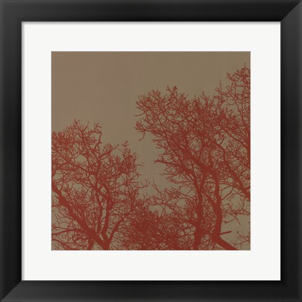 Framed Cinnamon Tree I Print