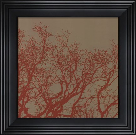 Framed Cinnamon Tree II Print