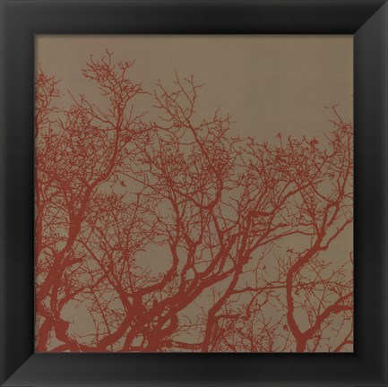 Framed Cinnamon Tree II Print