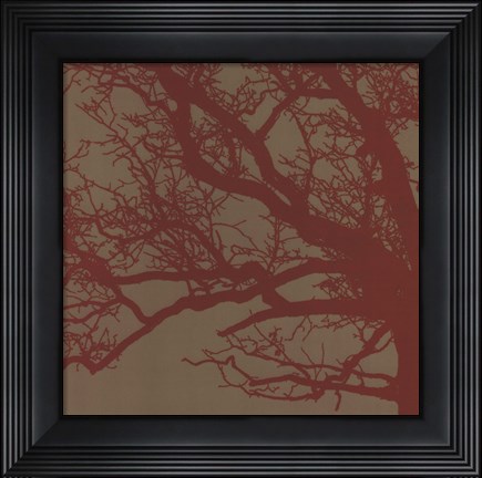 Framed Cinnamon Tree III Print