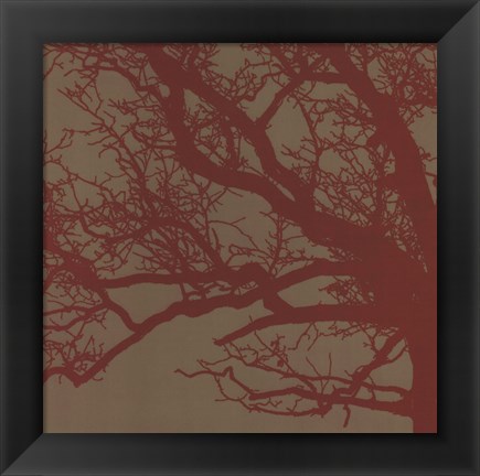 Framed Cinnamon Tree III Print