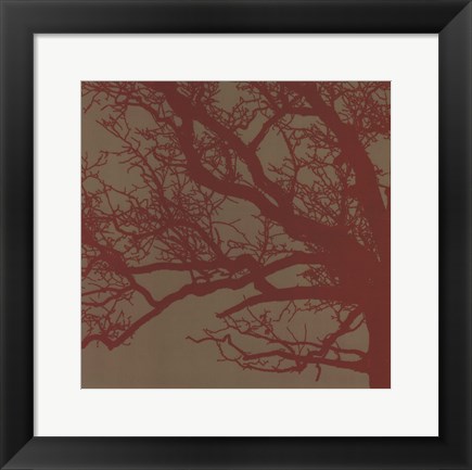 Framed Cinnamon Tree III Print