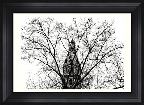Framed City Hall (branches) Print
