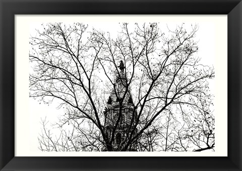 Framed City Hall (branches) Print