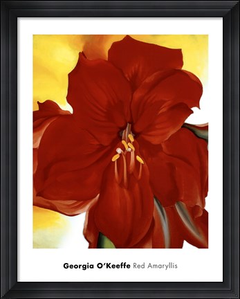 Framed Red Amaryllis, 1937 Print