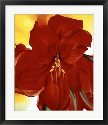 Framed Red Amaryllis, 1937 Print