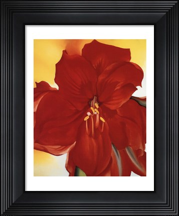 Framed Red Amaryllis, 1937 Print