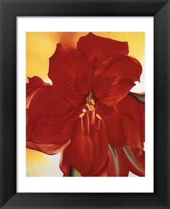 Framed Red Amaryllis, 1937 Print