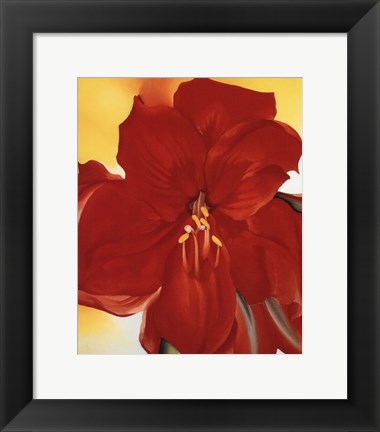 Framed Red Amaryllis, 1937 Print