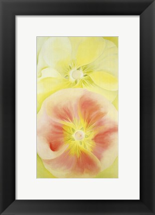 Framed Pink and Yellow Hollyhocks, 1952 Print