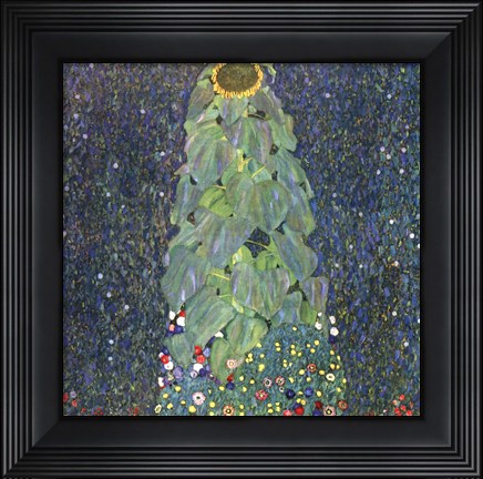 Framed Sunflower, c. 1906-1907 Print