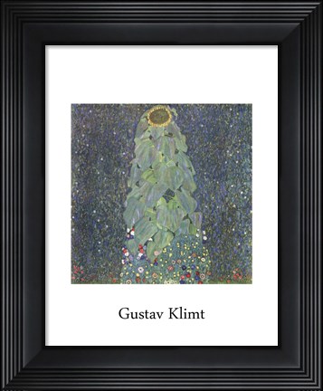 Framed Sunflower, c. 1906-1907 Print