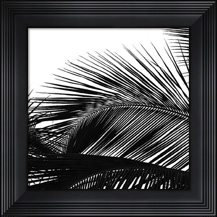 Framed Palms 13 (detail) Print